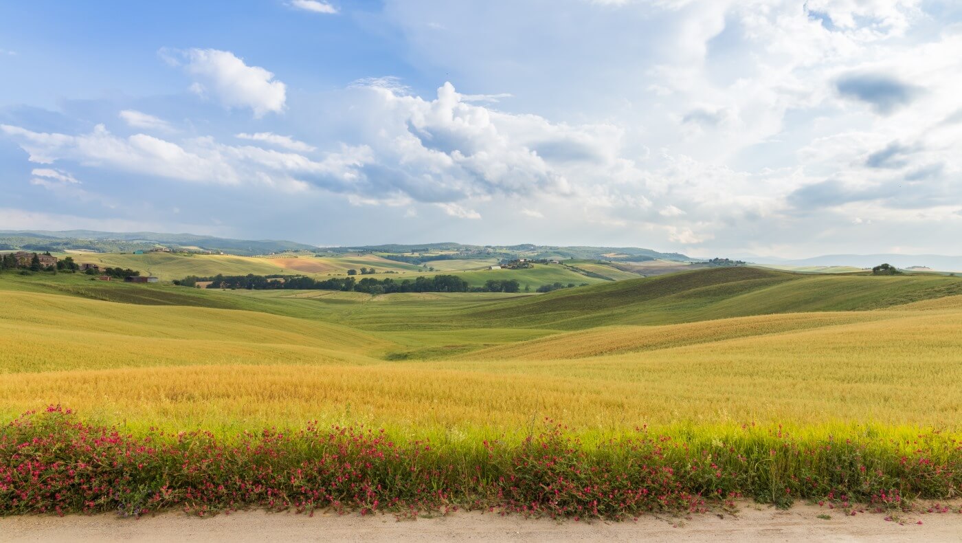 IMG_5694-HDR.jpg